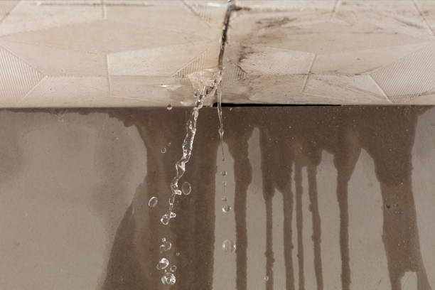 Professional Structural Drying technician working in Little Ferry, NJ